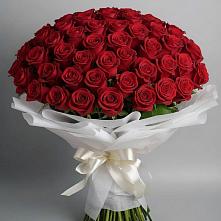 Букет 101 Красная роза Блэк Мэджик в Лунево
