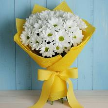 Букет цветов из:  Хризантемы в Лунево