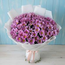 Букет цветов из:  Хризантемы в Лунево