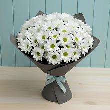 Букет цветов из:  Хризантемы #REPLACE_PRED# Лунево