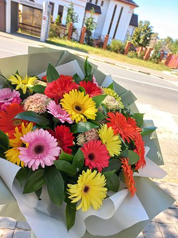 Букет цветов из: Герберы в Лунево