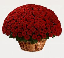 Премиум букет из: Розы #REPLACE_PRED# Лунево